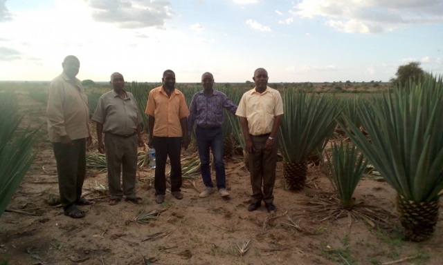 REDESO CEO and Programme Manager  visiting Sisal Farmers to assess the impact of the project at Isoso Majengo village in Kishapu