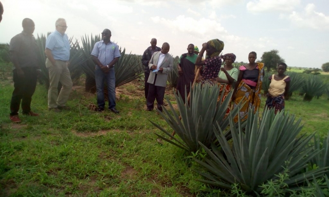 Sisal farmer group sharing success and challenges of sisal farming with OXFAM guests at Isoso Majengo village in Kishapu