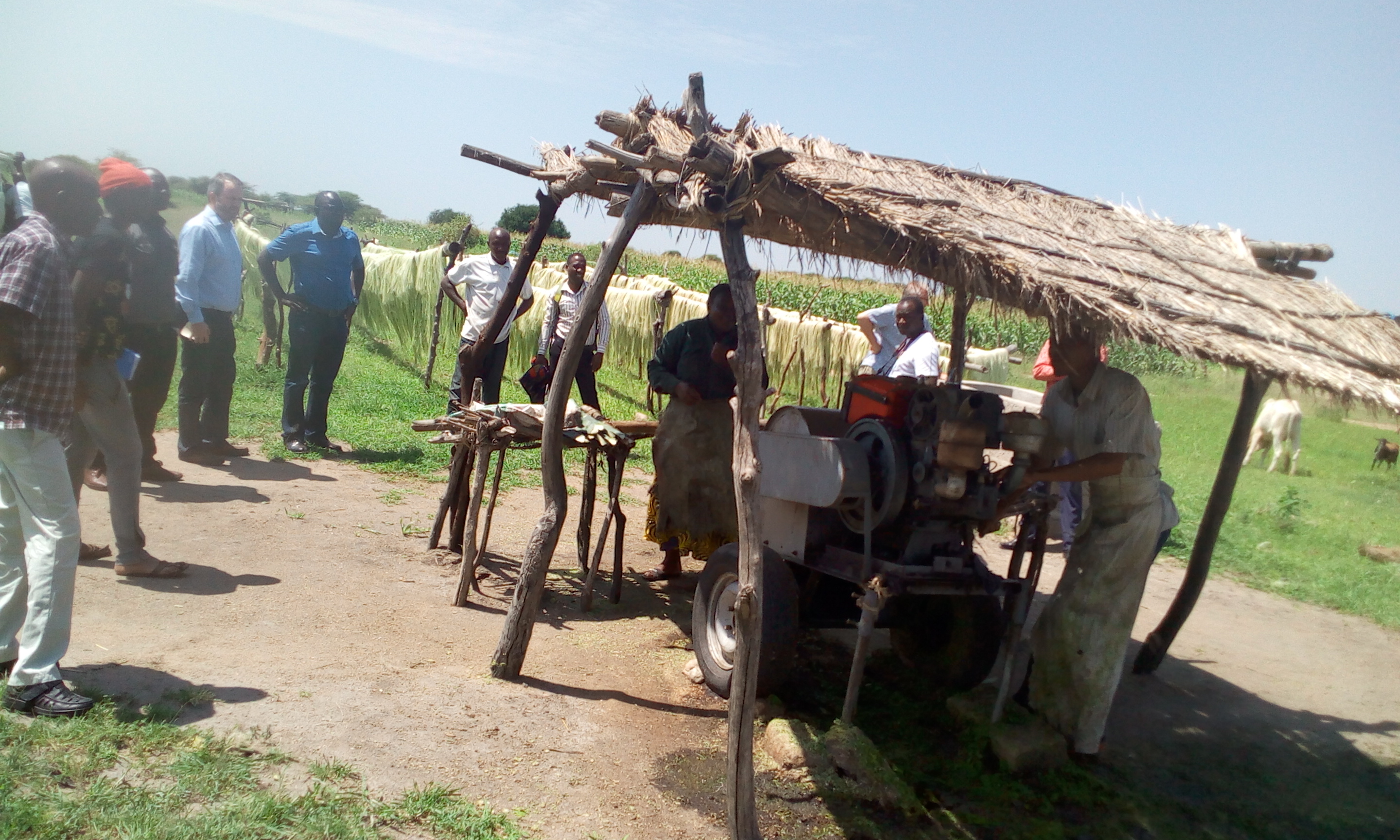 One  of Sisal machines used to raw materials to finished products at Isoso Majengo village in Kishapu