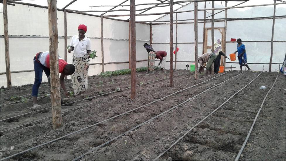 Engaging Women and Youth CBO in entrepreneurship activity especially Agribusiness using a Greenhouse Technology to Respond on Climate change Impacts and to prevent from Pest.