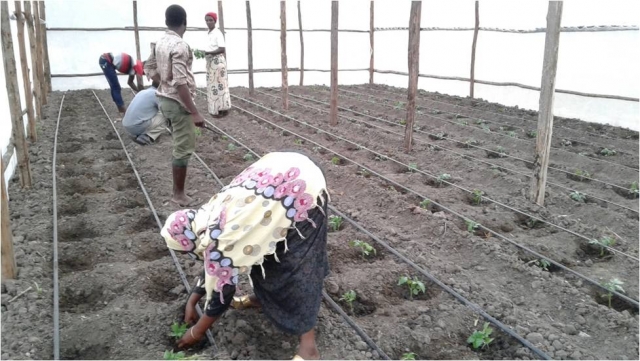Engaging Women and Youth CBO in entrepreneurship activity especially Agribusiness using a Greenhouse Technology to Respond on Climate change Impacts and to prevent from Pest