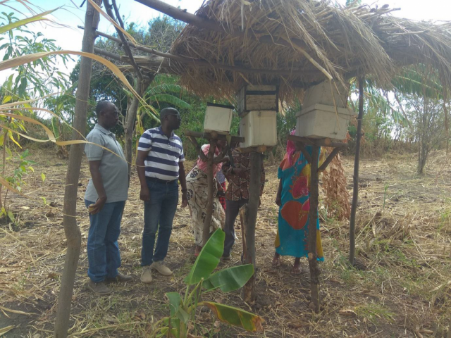 The mission examining the beehives at Upendo Beekeeping entrepreneurship group at shagihilu village in Kishapu District