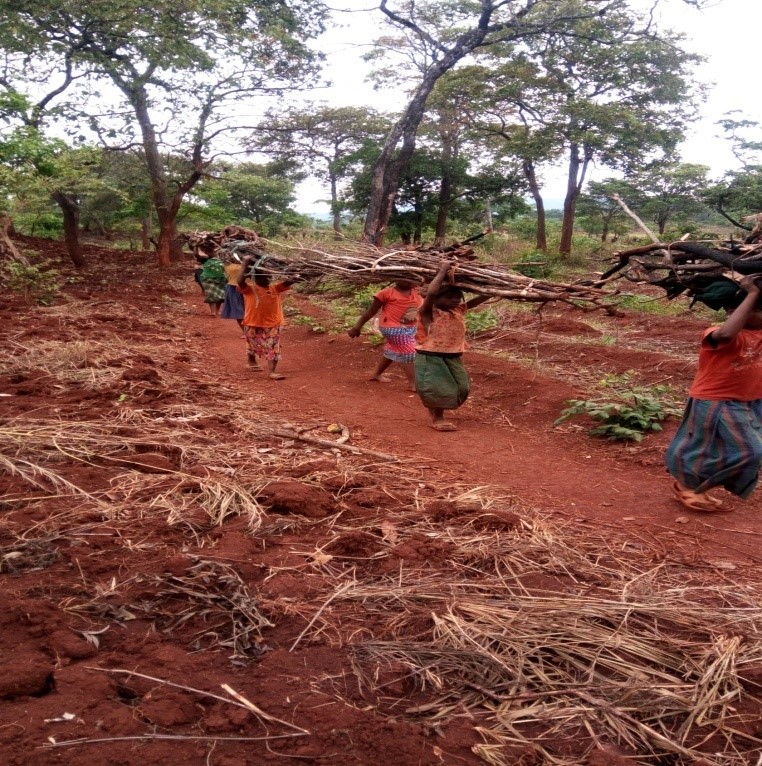 Women are exposed at SGBV risks as they travel far away from their home to search for firewood which is a source of cooking fuel. The photo represents women carrying firewood on the way back to their homes after collecting firewood.